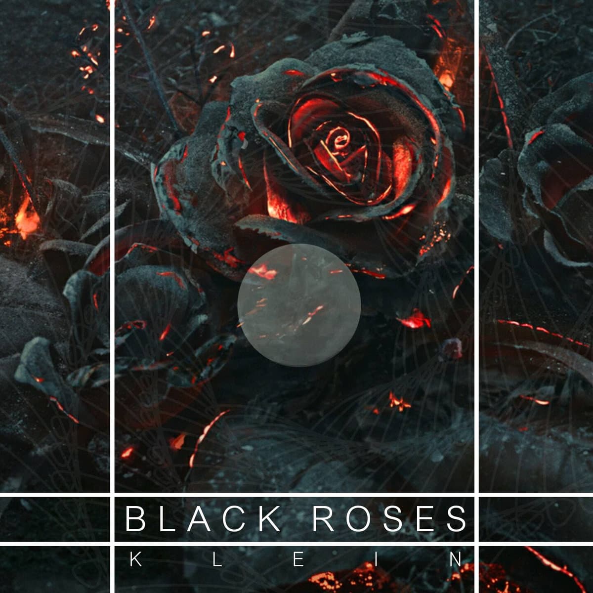 Black Roses